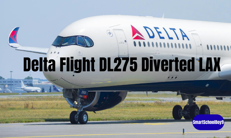 Delta Flight DL275 Diverted LAX: What Really Happened Delta Flight DL275 Diverted LAX